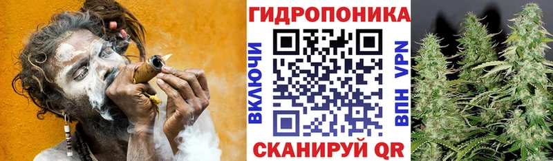 ОМГ ОМГ ссылки  Багратионовск  Бошки Шишки Ganja  где продают  